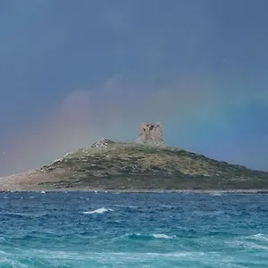 Zachi Palermo